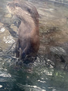 横浜・八景島シーパラダイスに投稿された画像（2020/11/3）