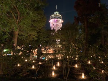 江の島シーキャンドルに投稿された画像（2020/11/3）