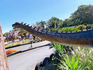 伊豆ぐらんぱる公園に投稿された画像（2020/11/3）