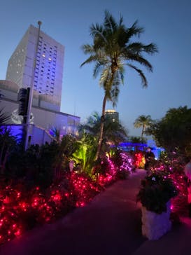 サンシャイン水族館に投稿された画像（2020/11/3）