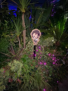 サンシャイン水族館に投稿された画像（2020/11/3）