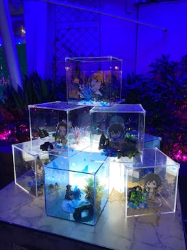 サンシャイン水族館に投稿された画像（2020/11/3）