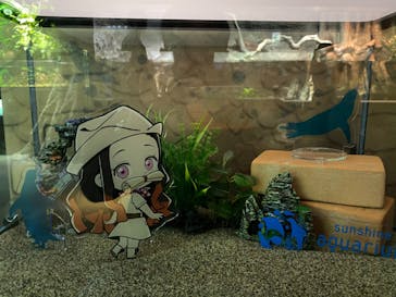 サンシャイン水族館に投稿された画像（2020/11/3）