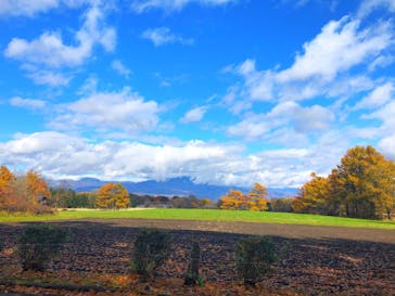 美土里の洞 北軽井沢店に投稿された画像（2020/11/3）