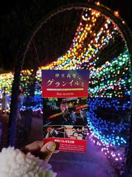 伊豆ぐらんぱる公園に投稿された画像（2020/11/3）