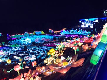 伊豆ぐらんぱる公園に投稿された画像（2020/11/3）