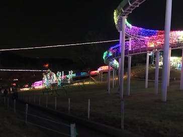 伊豆ぐらんぱる公園に投稿された画像（2020/11/3）