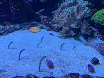 サンシャイン水族館に投稿された画像（2020/11/3）