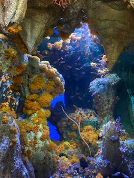 サンシャイン水族館に投稿された画像（2020/11/3）