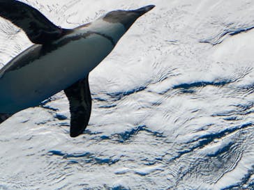 サンシャイン水族館に投稿された画像（2020/11/3）