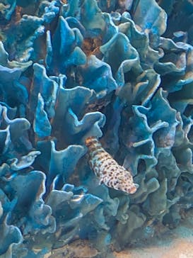 サンシャイン水族館に投稿された画像（2020/11/3）