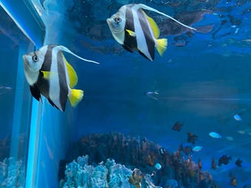 サンシャイン水族館に投稿された画像（2020/11/3）