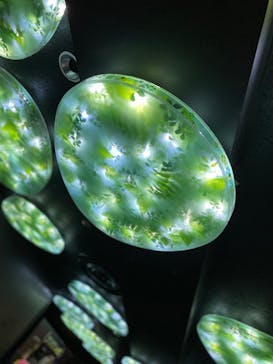 サンシャイン水族館に投稿された画像（2020/11/3）