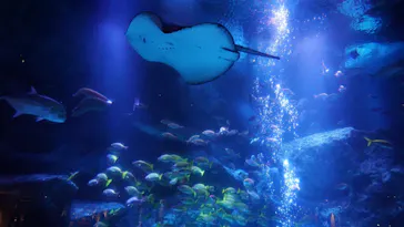 すみだ水族館に投稿された画像（2020/11/3）