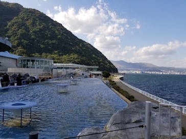 大分マリーンパレス水族館 「うみたまご」に投稿された画像（2020/11/3）
