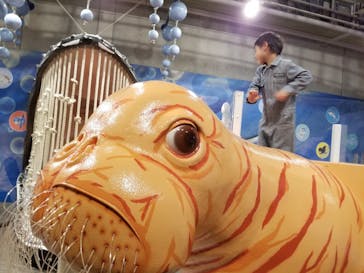 大分マリーンパレス水族館 「うみたまご」に投稿された画像（2020/11/3）