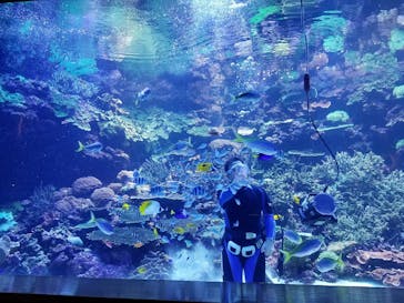 大分マリーンパレス水族館 「うみたまご」に投稿された画像（2020/11/3）