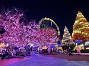 よみうりランド 遊園地に投稿された画像（2020/11/3）