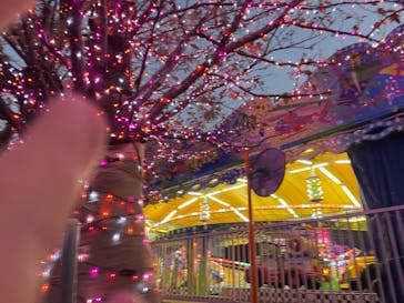 よみうりランド 遊園地に投稿された画像（2020/11/3）