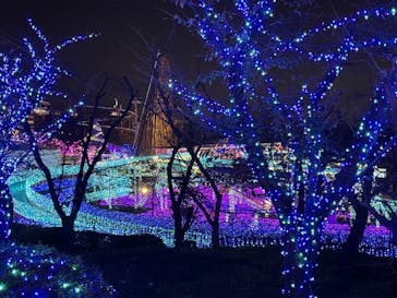 よみうりランド 遊園地に投稿された画像（2020/11/3）