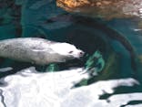 しながわ水族館に投稿された画像（2020/11/4）