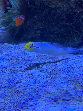 すみだ水族館に投稿された画像（2020/11/4）