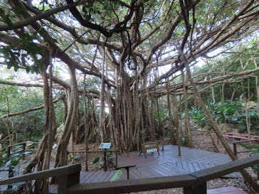 アスムイハイクスに投稿された画像（2020/11/4）