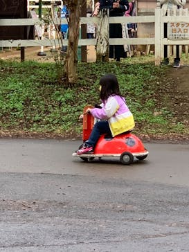 成田ゆめ牧場に投稿された画像（2020/11/4）