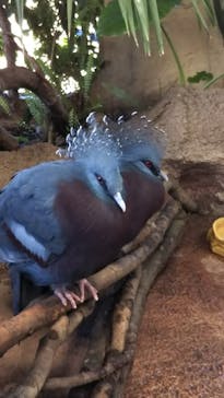 那須どうぶつ王国に投稿された画像（2020/11/4）