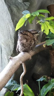 那須どうぶつ王国に投稿された画像（2020/11/4）