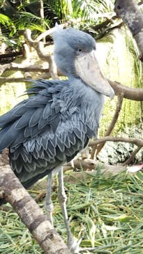 那須どうぶつ王国に投稿された画像（2020/11/4）