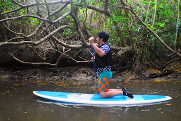 西表島 ADVENTURE PiPi（アドベンチャーピピ）に投稿された画像（2020/11/4）