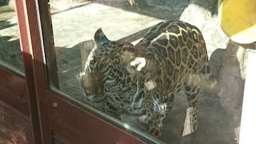 天王寺動物園に投稿された画像（2020/11/4）