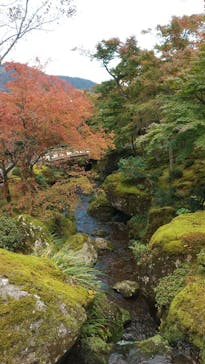 箱根美術館に投稿された画像（2020/11/4）