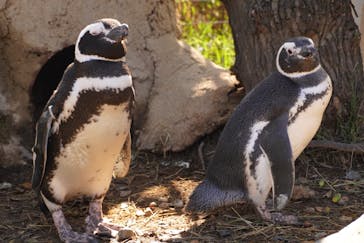 株式会社Gに投稿された画像（2020/11/4）