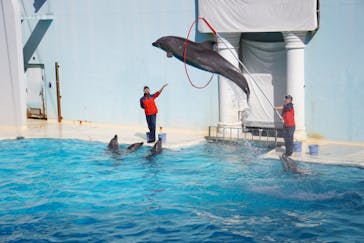 株式会社Gに投稿された画像（2020/11/4）