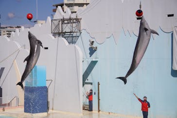 株式会社Gに投稿された画像（2020/11/4）