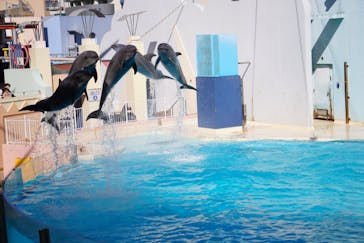 株式会社Gに投稿された画像（2020/11/4）