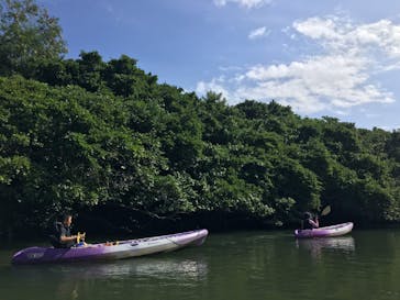 CHOROに投稿された画像（2020/11/4）