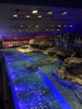 すみだ水族館に投稿された画像（2020/11/4）