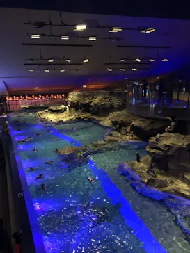 すみだ水族館に投稿された画像（2020/11/4）