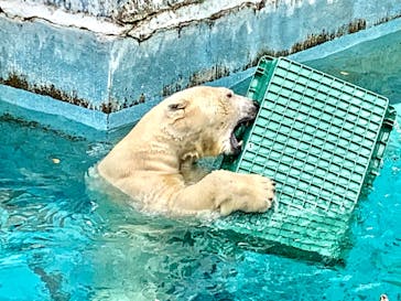 天王寺動物園に投稿された画像（2020/11/4）