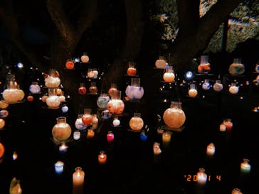 江の島シーキャンドルに投稿された画像（2020/11/4）