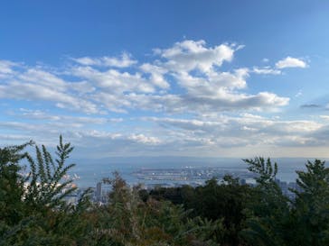 神戸布引ハーブ園／ロープウェイに投稿された画像（2020/11/4）