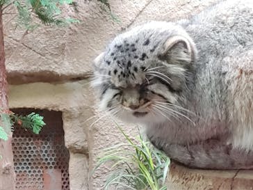 那須どうぶつ王国に投稿された画像（2020/11/4）