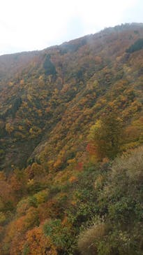 湯沢高原スキー場/パノラマパークに投稿された画像（2020/11/4）