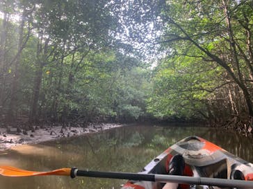 西表島 ADVENTURE PiPi（アドベンチャーピピ）に投稿された画像（2020/11/5）