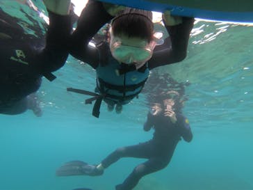 MalDive（モルダイブ）に投稿された画像（2020/11/5）