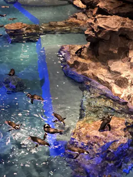 すみだ水族館に投稿された画像（2020/11/5）