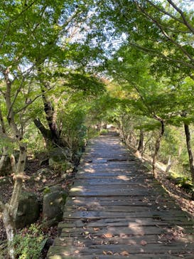 伊豆パノラマパークに投稿された画像（2020/11/5）